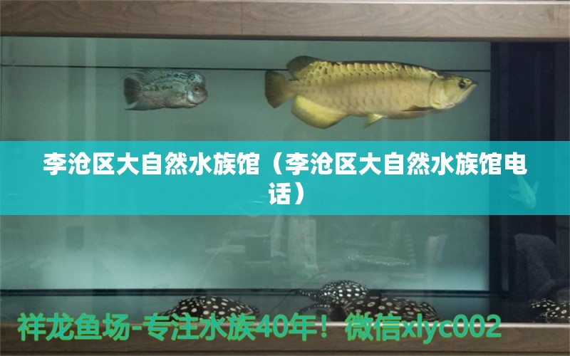 李滄區(qū)大自然水族館（李滄區(qū)大自然水族館電話） 全國(guó)水族館企業(yè)名錄