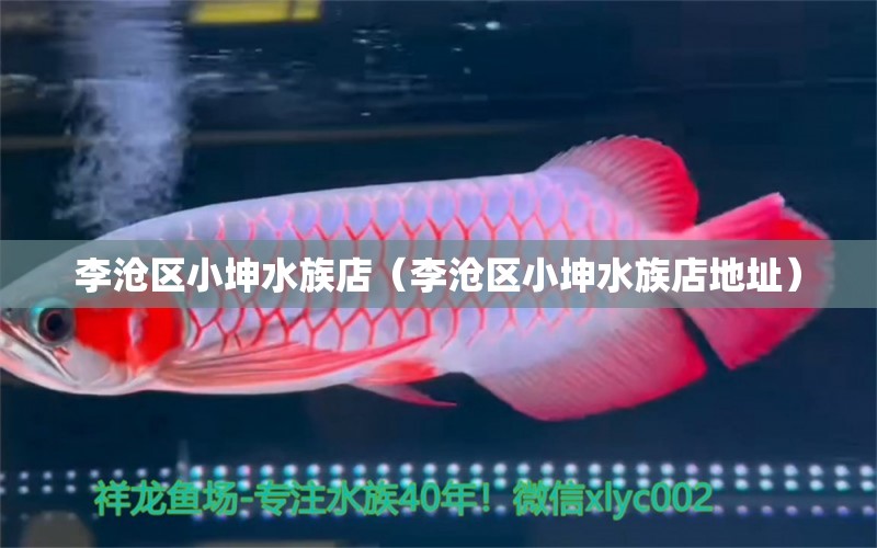 李滄區(qū)小坤水族店（李滄區(qū)小坤水族店地址） 全國水族館企業(yè)名錄