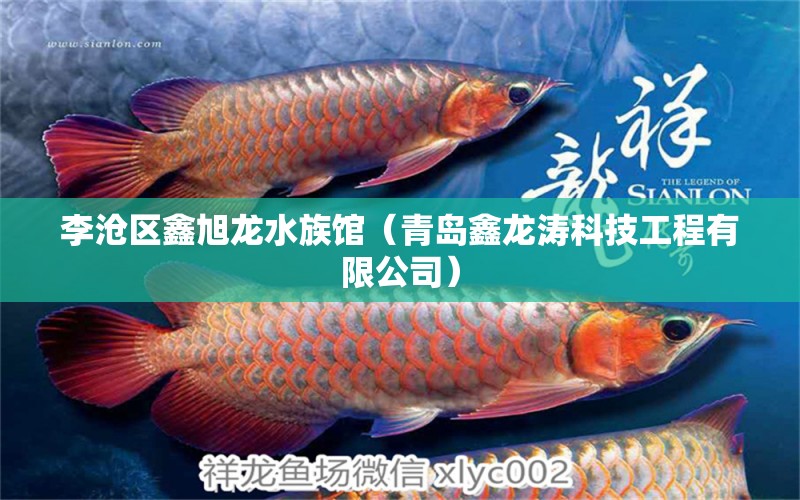 李滄區(qū)鑫旭龍水族館（青島鑫龍濤科技工程有限公司） 全國水族館企業(yè)名錄