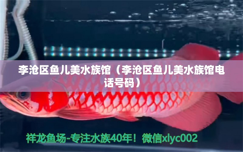 李滄區(qū)魚兒美水族館（李滄區(qū)魚兒美水族館電話號(hào)碼） 全國(guó)水族館企業(yè)名錄