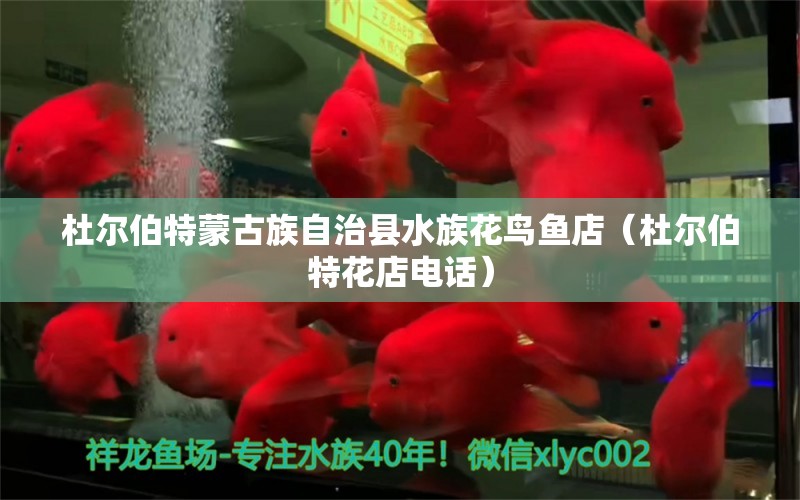 杜爾伯特蒙古族自治縣水族花鳥魚店（杜爾伯特花店電話）