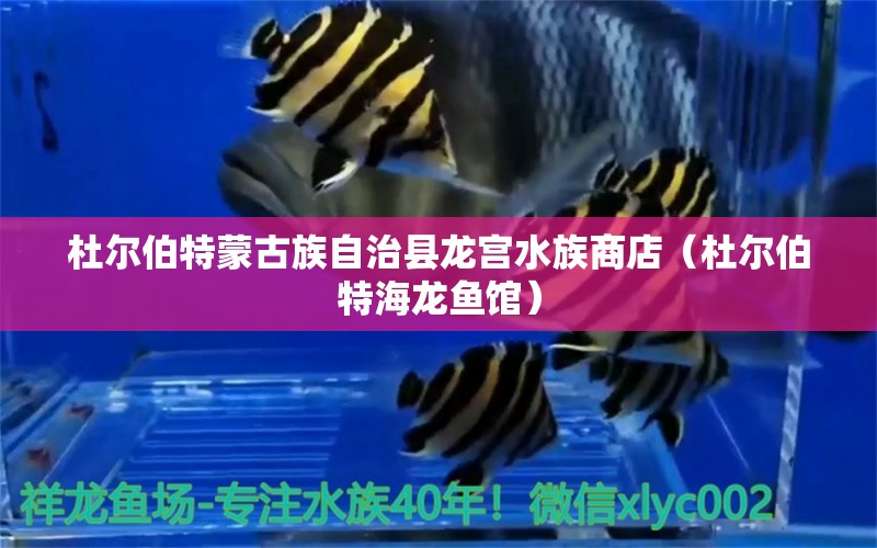 杜爾伯特蒙古族自治縣龍宮水族商店（杜爾伯特海龍魚館）