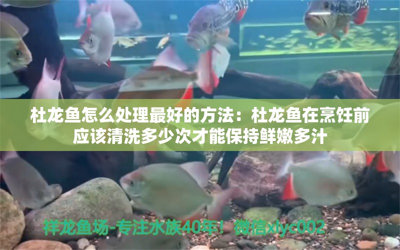 杜龍魚怎么處理最好的方法：杜龍魚在烹飪前應該清洗多少次才能保持鮮嫩多汁 水族問答 第1張