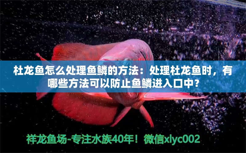 杜龍魚怎么處理魚鱗的方法：處理杜龍魚時，有哪些方法可以防止魚鱗進(jìn)入口中？ 水族問答 第2張