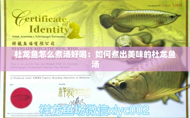 杜龍魚怎么煮湯好喝：如何煮出美味的杜龍魚湯 水族問答 第2張