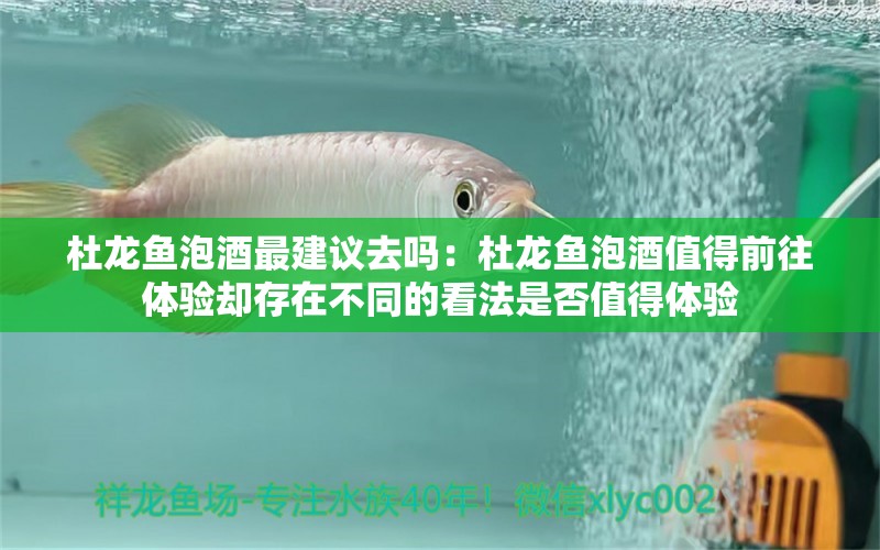 杜龍魚泡酒最建議去嗎：杜龍魚泡酒值得前往體驗(yàn)卻存在不同的看法是否值得體驗(yàn) 水族問答 第1張