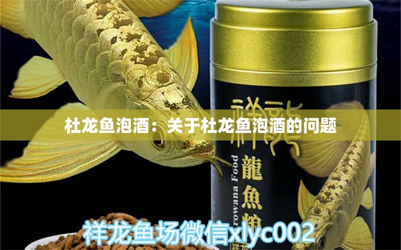 杜龍魚泡酒：關(guān)于杜龍魚泡酒的問題 水族問答 第2張