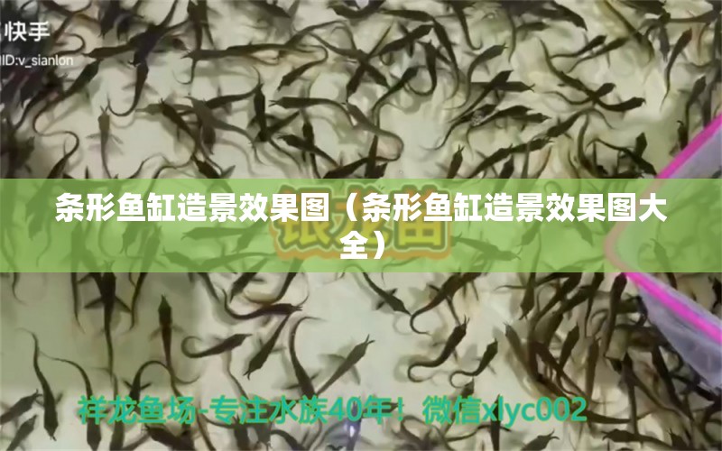 條形魚缸造景效果圖（條形魚缸造景效果圖大全）