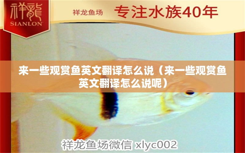 來一些觀賞魚英文翻譯怎么說（來一些觀賞魚英文翻譯怎么說呢）