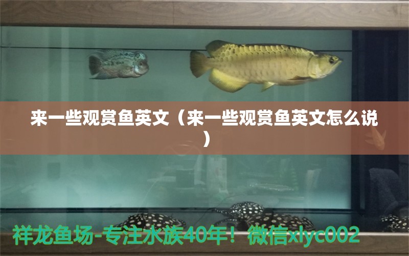 來一些觀賞魚英文（來一些觀賞魚英文怎么說） 祥龍水族醫(yī)院