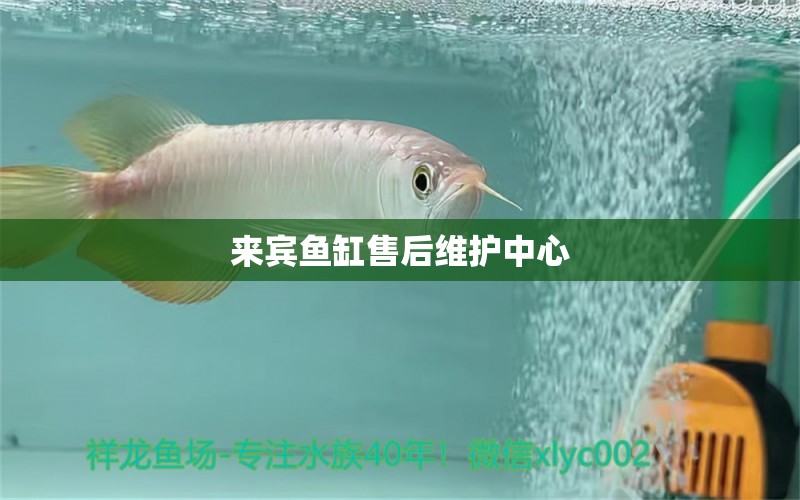 來賓魚缸售后維護(hù)中心 其他品牌魚缸