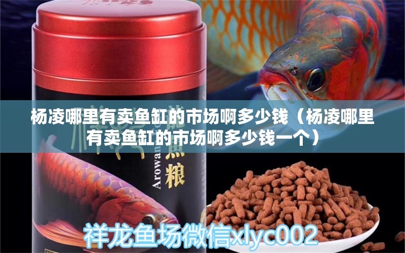 楊凌哪里有賣魚缸的市場啊多少錢（楊凌哪里有賣魚缸的市場啊多少錢一個） 其他品牌魚缸