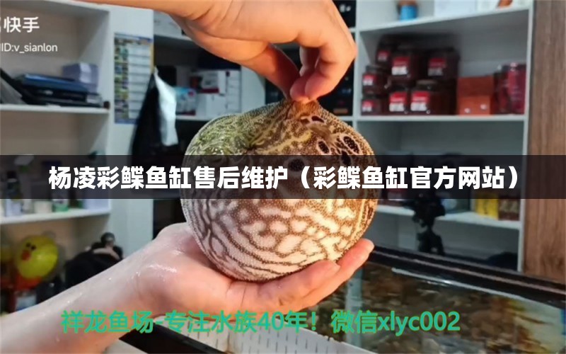 楊凌彩鰈魚(yú)缸售后維護(hù)（彩鰈魚(yú)缸官方網(wǎng)站）