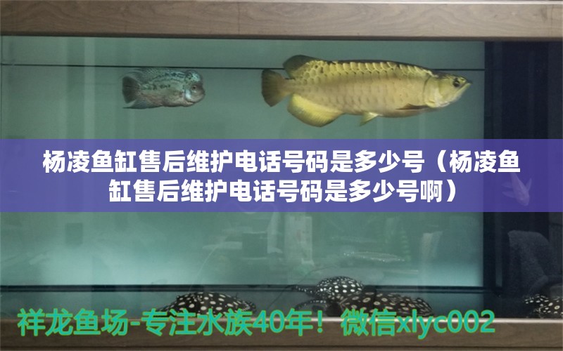 楊凌魚(yú)缸售后維護(hù)電話號(hào)碼是多少號(hào)（楊凌魚(yú)缸售后維護(hù)電話號(hào)碼是多少號(hào)?。? title=