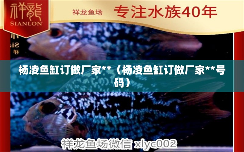 楊凌魚缸訂做廠家**（楊凌魚缸訂做廠家**號碼） 廣州龍魚批發(fā)市場