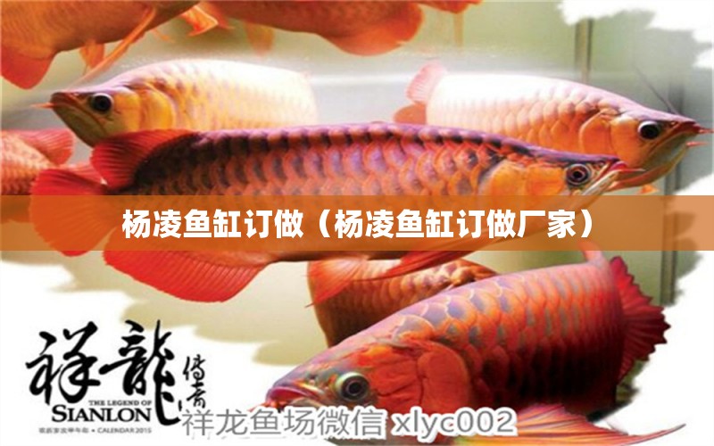 楊凌魚缸訂做（楊凌魚缸訂做廠家）