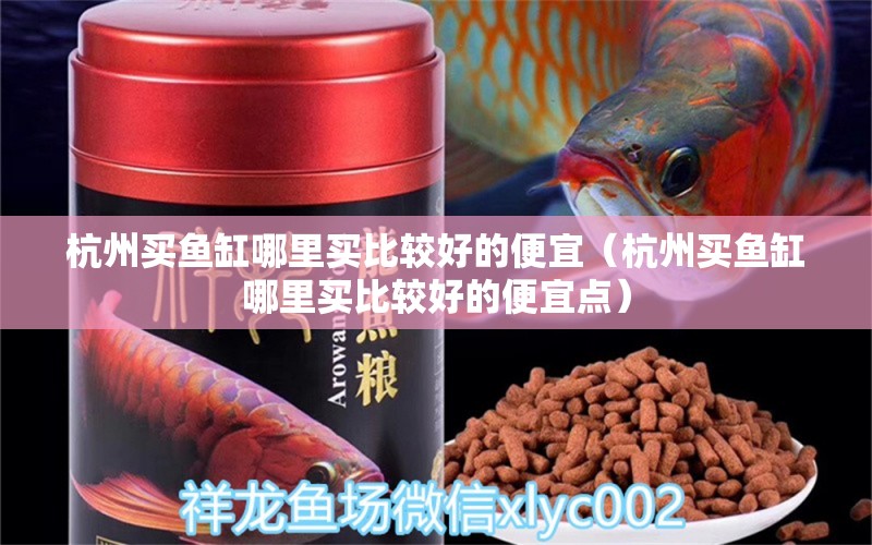 杭州買魚缸哪里買比較好的便宜（杭州買魚缸哪里買比較好的便宜點）