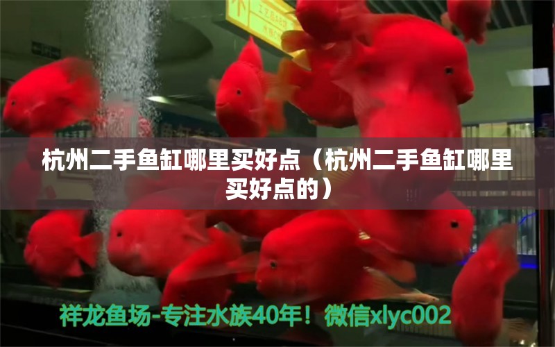 杭州二手魚缸哪里買好點(diǎn)（杭州二手魚缸哪里買好點(diǎn)的）