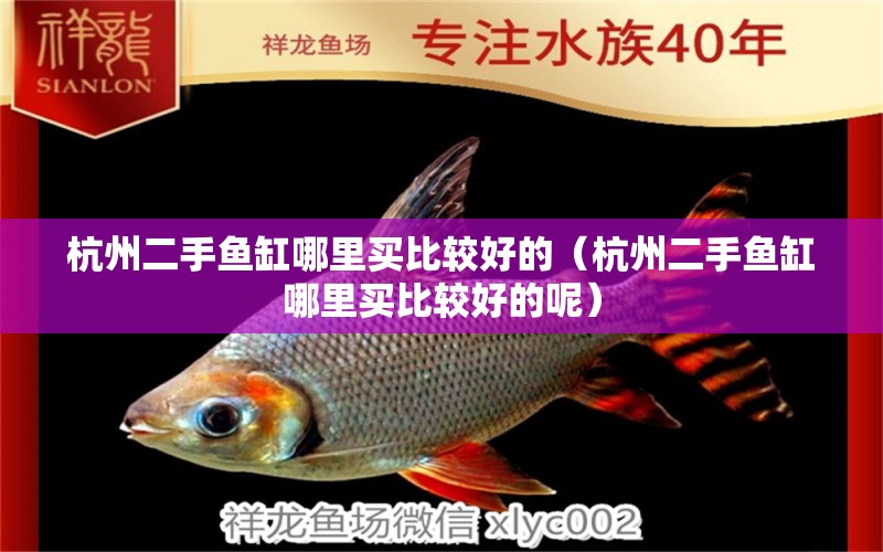 杭州二手魚缸哪里買比較好的（杭州二手魚缸哪里買比較好的呢）