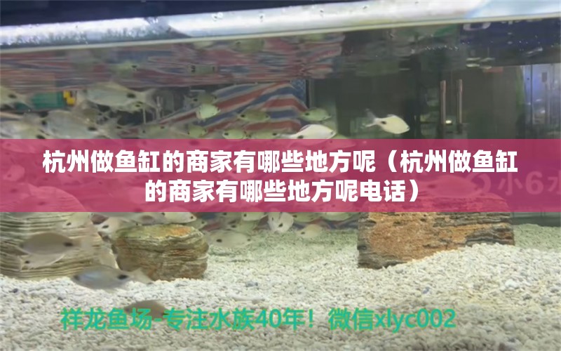 杭州做魚缸的商家有哪些地方呢（杭州做魚缸的商家有哪些地方呢電話） 觀賞魚市場（混養(yǎng)魚）