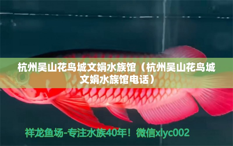 杭州吳山花鳥城文娟水族館（杭州吳山花鳥城文娟水族館電話） 全國水族館企業(yè)名錄