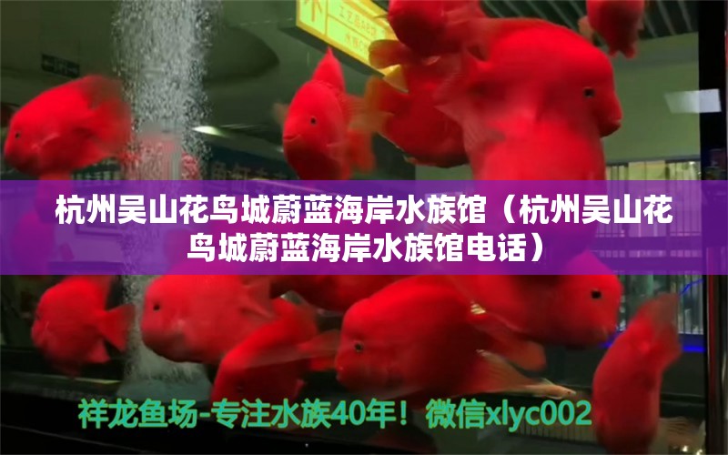 杭州吳山花鳥城蔚藍海岸水族館（杭州吳山花鳥城蔚藍海岸水族館電話） 全國水族館企業(yè)名錄