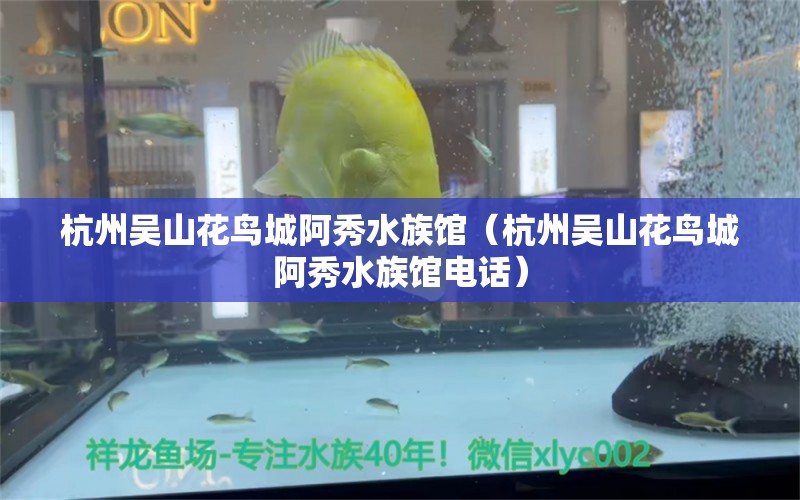 杭州吳山花鳥城阿秀水族館（杭州吳山花鳥城阿秀水族館電話） 全國(guó)水族館企業(yè)名錄