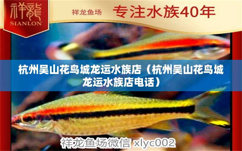 杭州吳山花鳥城龍運(yùn)水族店（杭州吳山花鳥城龍運(yùn)水族店電話） 全國(guó)水族館企業(yè)名錄