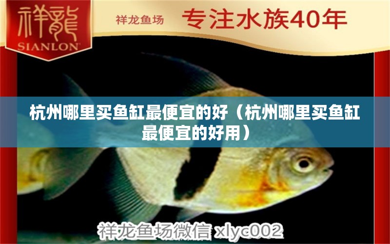 杭州哪里買魚缸最便宜的好（杭州哪里買魚缸最便宜的好用）