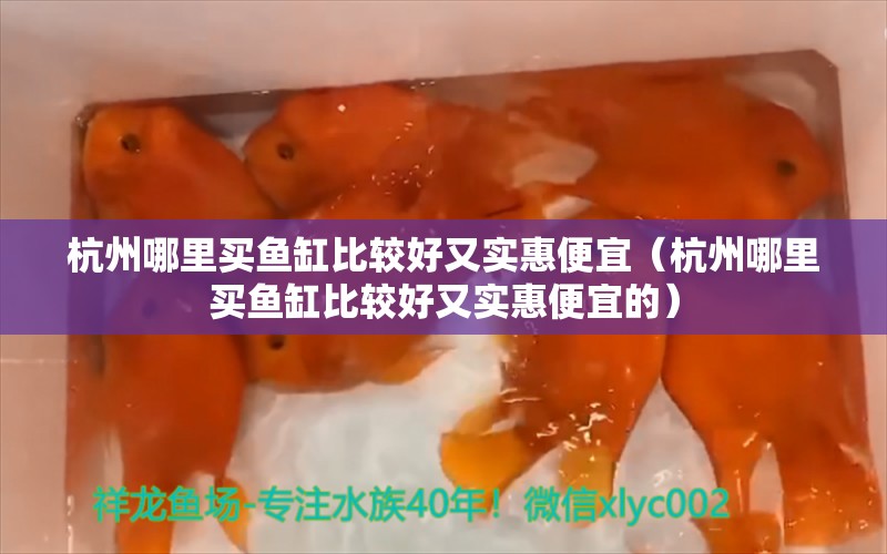 杭州哪里買魚缸比較好又實惠便宜（杭州哪里買魚缸比較好又實惠便宜的） 紅頭利魚