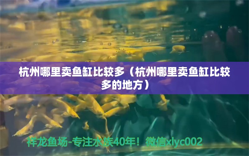 杭州哪里賣魚缸比較多（杭州哪里賣魚缸比較多的地方） 其他品牌魚缸