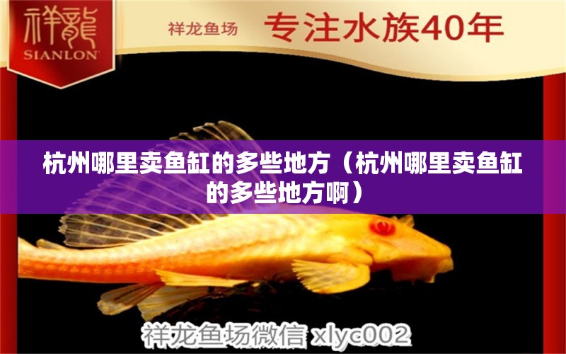 杭州哪里賣魚缸的多些地方（杭州哪里賣魚缸的多些地方?。? title=