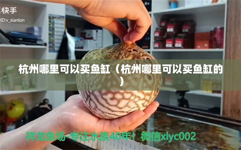 杭州哪里可以買魚缸（杭州哪里可以買魚缸的）