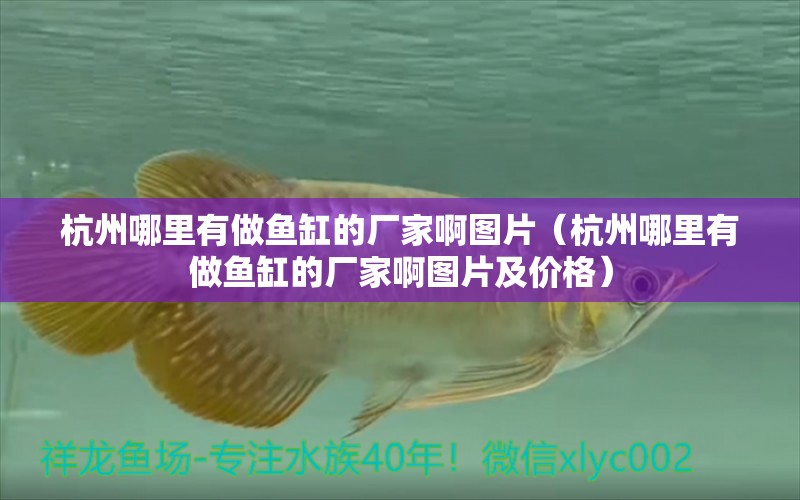 杭州哪里有做魚缸的廠家啊圖片（杭州哪里有做魚缸的廠家啊圖片及價(jià)格）