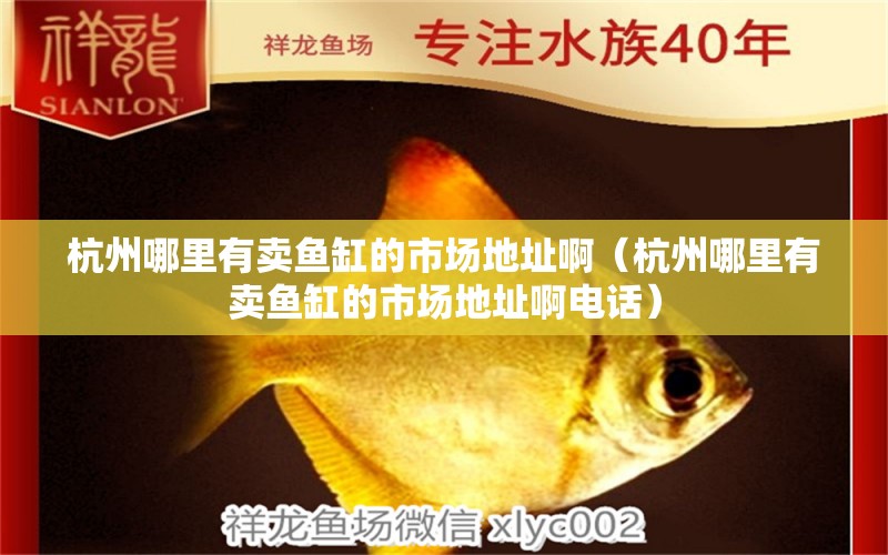 杭州哪里有賣魚缸的市場地址?。ê贾菽睦镉匈u魚缸的市場地址啊電話）