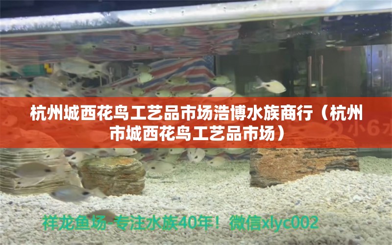 杭州城西花鳥工藝品市場(chǎng)浩博水族商行（杭州市城西花鳥工藝品市場(chǎng)） 全國(guó)水族館企業(yè)名錄