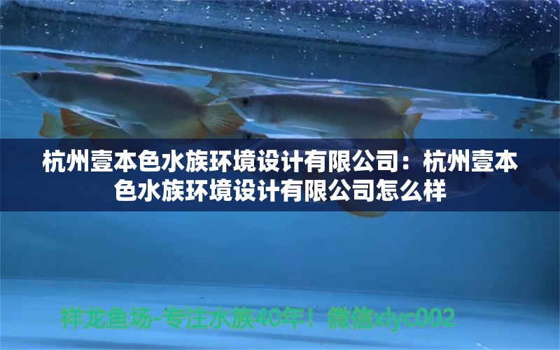 杭州壹本色水族環(huán)境設(shè)計(jì)有限公司：杭州壹本色水族環(huán)境設(shè)計(jì)有限公司怎么樣