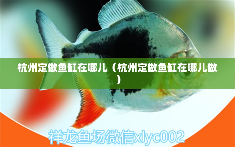 杭州定做魚(yú)缸在哪兒（杭州定做魚(yú)缸在哪兒做）