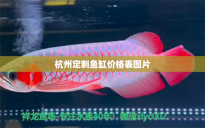 杭州定制魚(yú)缸價(jià)格表圖片 祥龍魚(yú)場(chǎng)