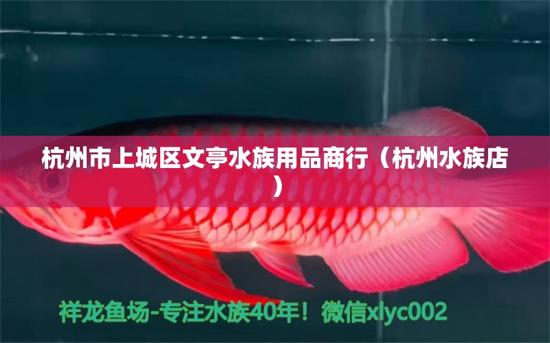 杭州市上城區(qū)文亭水族用品商行（杭州水族店）