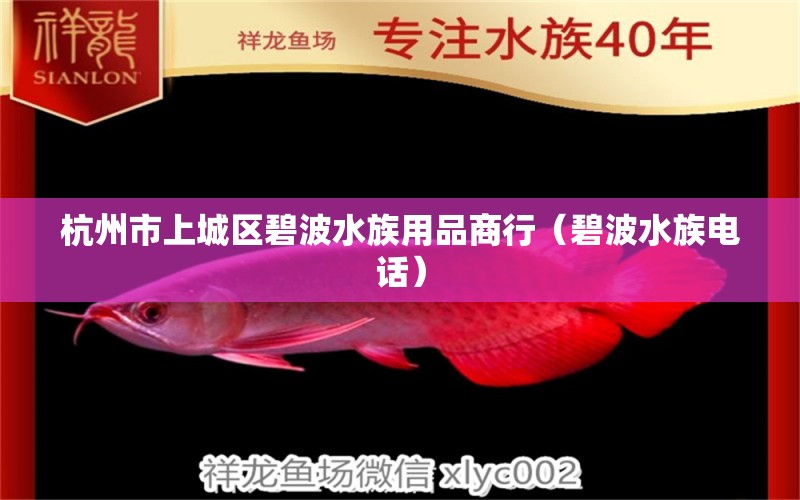 杭州市上城區(qū)碧波水族用品商行（碧波水族電話） 水族用品