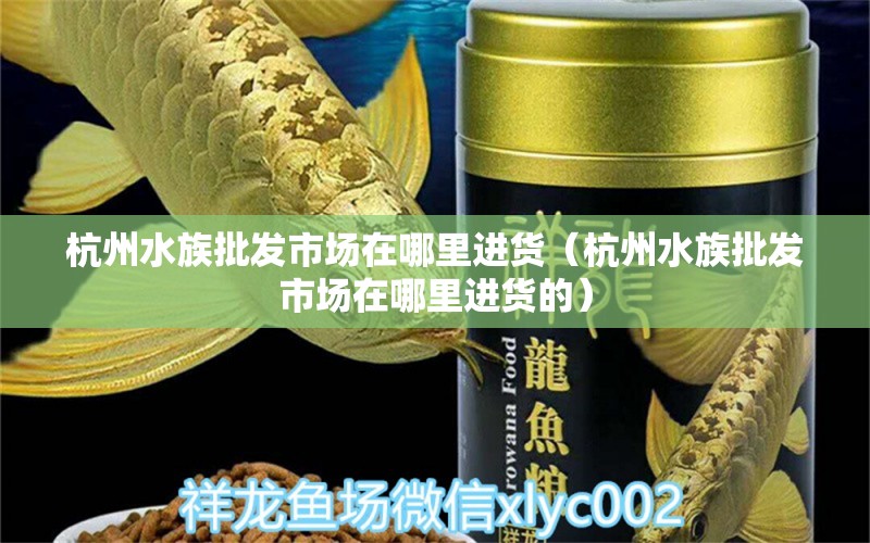 杭州水族批發(fā)市場在哪里進貨（杭州水族批發(fā)市場在哪里進貨的）