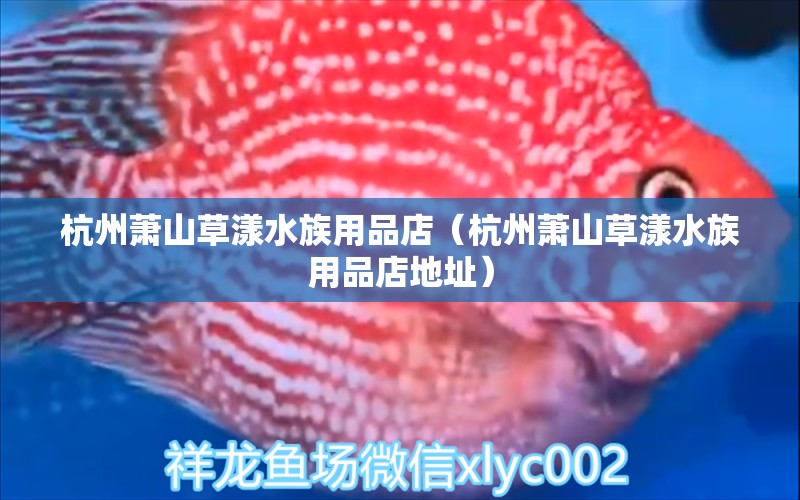 杭州蕭山草漾水族用品店（杭州蕭山草漾水族用品店地址）