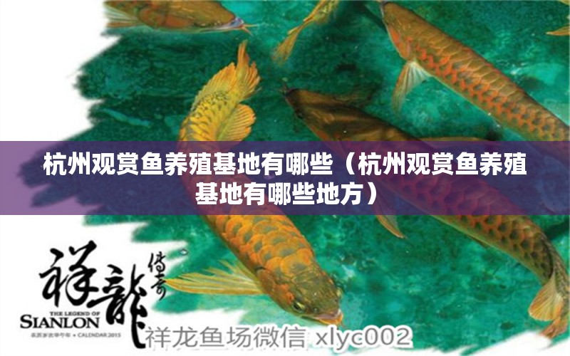 杭州觀賞魚養(yǎng)殖基地有哪些（杭州觀賞魚養(yǎng)殖基地有哪些地方） 祥龍水族醫(yī)院