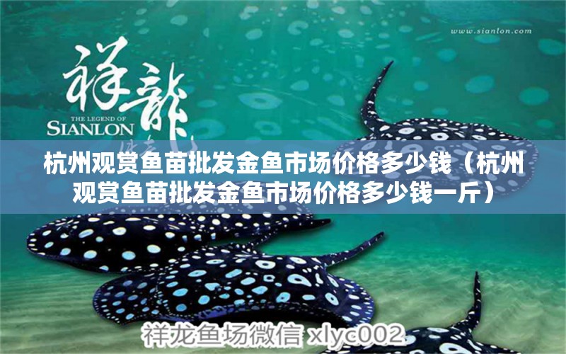 杭州觀賞魚苗批發(fā)金魚市場價格多少錢（杭州觀賞魚苗批發(fā)金魚市場價格多少錢一斤）