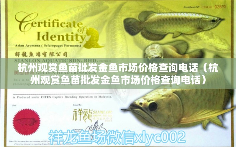 杭州觀賞魚苗批發(fā)金魚市場價格查詢電話（杭州觀賞魚苗批發(fā)金魚市場價格查詢電話）