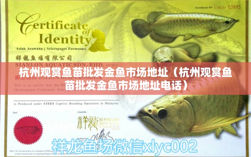 杭州觀賞魚苗批發(fā)金魚市場地址（杭州觀賞魚苗批發(fā)金魚市場地址電話）