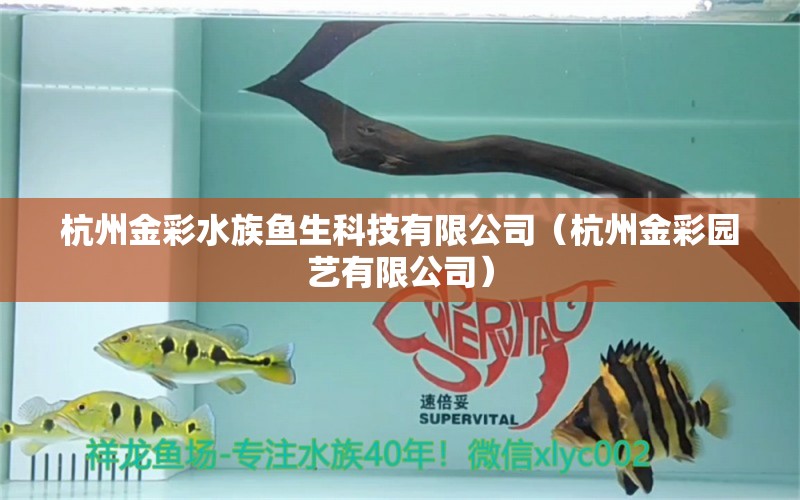 杭州金彩水族魚生科技有限公司（杭州金彩園藝有限公司） 全國水族館企業(yè)名錄