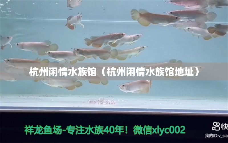 杭州閑情水族館（杭州閑情水族館地址）