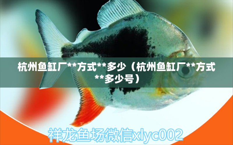 杭州魚缸廠**方式**多少（杭州魚缸廠**方式**多少號(hào)）